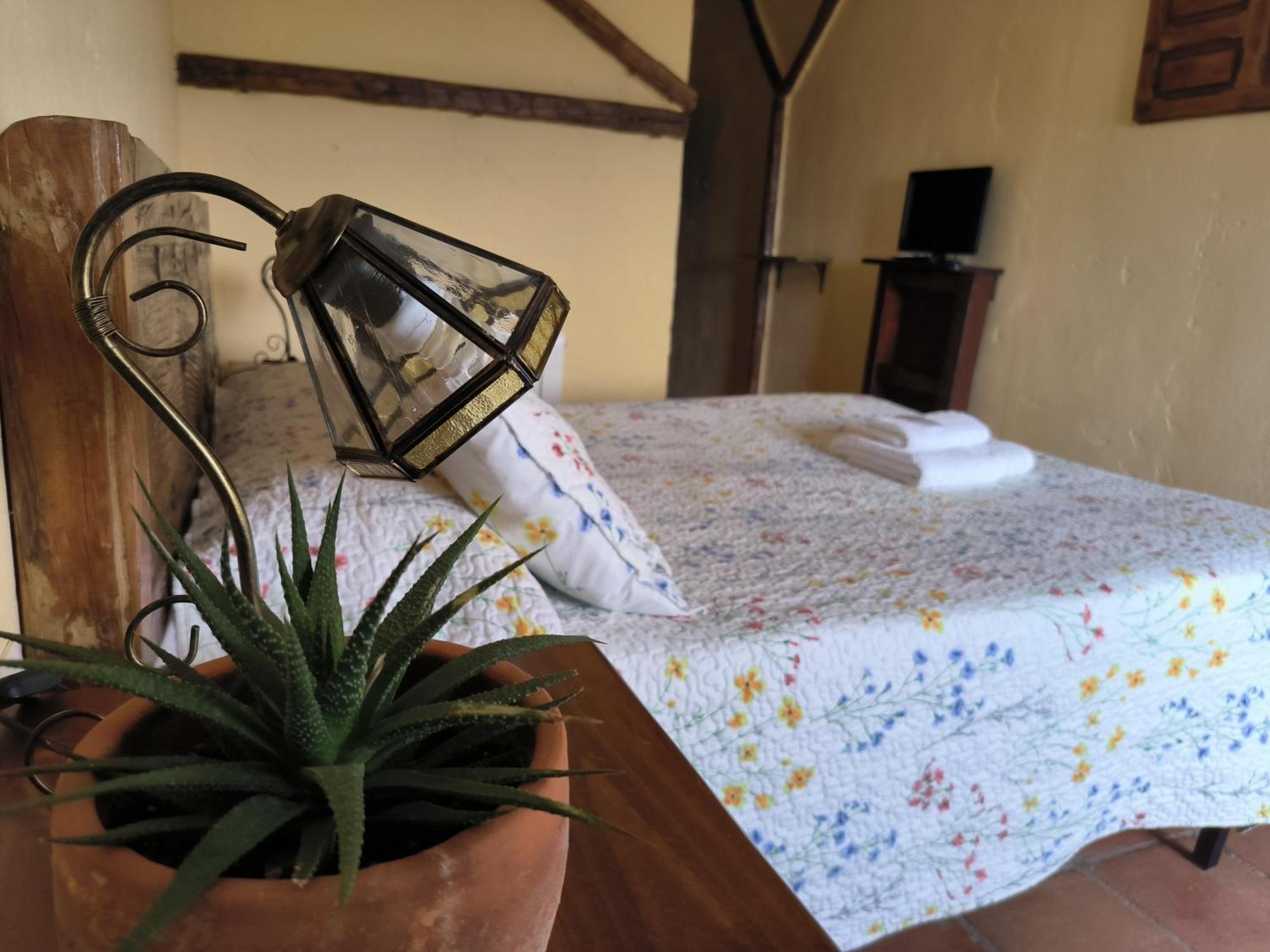Casa Rural El Botánico Duron Exterior foto